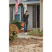 3-in-1 VacPack Leaf Blower/Vacuum/Mulcher, 250 MPH Output, Electric The Estey Group