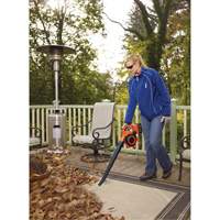 Max* Cordless Sweeper/Vacuum Kit, 40 V, 120 MPH Output, Battery Powered The Estey Group