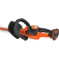 Ensemble de taille-haie sans fil Max* PowerCut, 22", 20 V, &agrave; pile The Estey Group