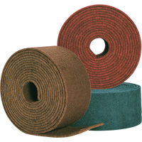 Standard Abrasives Cleaning Pro Disc 840902, 8" Dia., Silicon Carbide The Estey Group