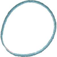 Scotch-Brite Surface Conditioning Belt The Estey Group