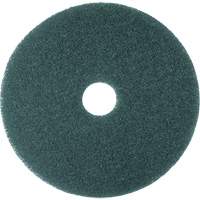 Cleaner Pad, 13", Scrubbing, Blue The Estey Group