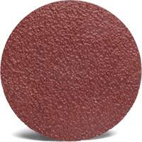Disque abrasif Roloc 782C 3M, 2" dia., Grain 80+, C&eacute;ramique The Estey Group