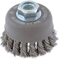 ALLSTEEL Wire Brush, 3" Dia. x 5/8"-11 Arbor The Estey Group