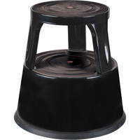 Step Stand/Stool
