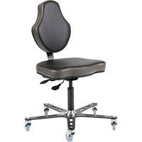 Vega Multi-Tilt Ergonomic Chair, Mobile, Adjustable Height The Estey Group