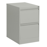 Vertical Filing Cabinet, Steel, 2 Drawers, 18-1/7" W x 25" D x 29" H, Grey The Estey Group