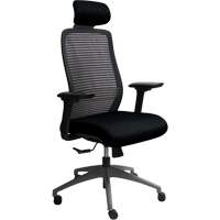 Era Series Adjustable Office Chair with Headrest, Fabric/Mesh, Black, 275 lbs. Capacity The Estey Group
