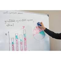 Whiteboard Eraser The Estey Group