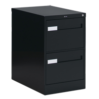 Vertical Filing Cabinet with Recessed Drawer Handles, 2 Drawers, 18.15" W x 26.56" D x 29" H, Black The Estey Group