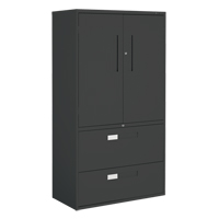 Multi-Stor Cabinet, Steel, 3 Shelves, 65-1/4" H x 36" W x 18" D, Black The Estey Group