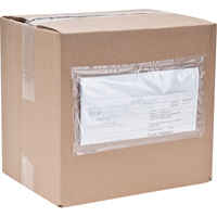 Packing List Envelopes, 4" L x 5" W, Endloading Style The Estey Group