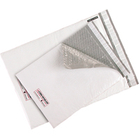 Enveloppes XPak &agrave; bulles en poly&eacute;thyl&egrave;ne, Poly&eacute;thyl&egrave;ne, 9-1/2" la x 14-1/2" lo The Estey Group