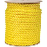 Braided Yellow Rope, Polypropylene, 300' The Estey Group