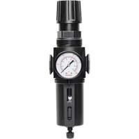 Filtre/r&eacute;gulateur drain manuel avec bol standard Modulair 300, 1/4" NPT, 150 psi, Capacit&eacute; de 5,1 oz liq. The Estey Group