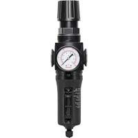 Filtre/r&eacute;gulateur drain manuel avec bol en m&eacute;tal Modulair 300, 1/4" NPT, 250 PSI, Capacit&eacute; de 5,1 oz liq. The Estey Group