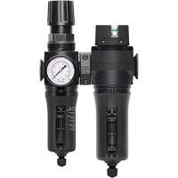 Filtre/r&eacute;gulateur + filtre coalescent drain manuel avec bol en m&eacute;tal Modulair 300, 1/4" NPT, 250 PSI, Capacit&eacute; de 5,1 oz liq. The Estey Group