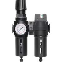 Filtre/d&eacute;tendeur & filtre coalescent Modulair 300 avec bol standard & drain manuel, 3/8" NPTF, 150 psi, Capacit&eacute; de 5,12 oz liq The Estey Group