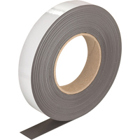 Write-On Magnetic Tags, Magnetic, 600" L x 1" W The Estey Group