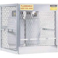 Aluminum LPG Cylinder Locker Storage, 4 Cylinder Capacity, 30" W x 32" D x 33-1/2" H, Silver The Estey Group