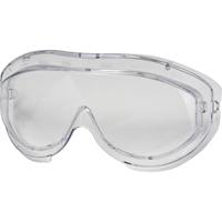 Lentille de rechange pour les lunettes &agrave; coques de s&eacute;curit&eacute; Uvex Flex Seal, Antibu&eacute;e, Transparent, Flex Seal The Estey Group