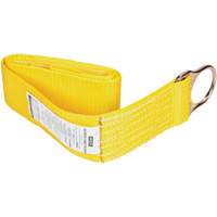 Anchorage Connector Straps, D-Ring, Temporary Use The Estey Group
