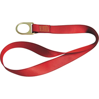 PointGuard Anchorage Connector Straps, D-Ring, Temporary Use The Estey Group