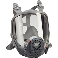 Masques complets pour respirateurs PAPR 3M, &eacute;lastom&egrave;re/Silicone/Thermoplastique, Petit The Estey Group
