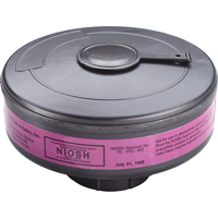 Appareils de protection respiratoire (APR) &agrave; &eacute;puration d'air motoris&eacute; port&eacute;s sur le visage Powerflow, Filtre P100, Paquet de 20 The Estey Group