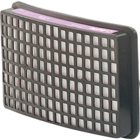 Protection respiratoire Speedglas - Filtres et cartouches de recharge, Filtre P100, Paquet de 2 The Estey Group