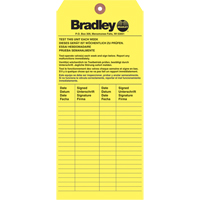 Inspection Tag, Paper, 3-6/8" W x 5-7/8" H, English The Estey Group