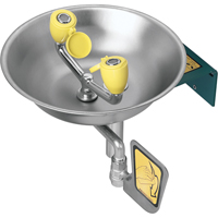 Eyewash Station, Wall-Mount Installation, Stainless Steel Bowl The Estey Group