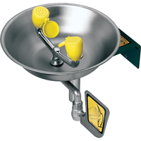Eye/Face Wash Station, Wall-Mount Installation, Stainless Steel Bowl The Estey Group