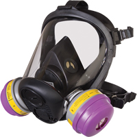 Respirateur &agrave; masque complet de s&eacute;rie RU6500 de North, Silicone, Petit The Estey Group