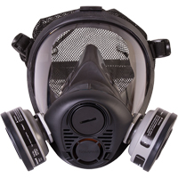 Respirateur &agrave; masque complet de s&eacute;rie RU6500 de North, Silicone, Petit The Estey Group