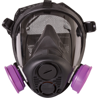 Respirateur &agrave; masque complet de s&eacute;rie RU6500 de North, Silicone, Petit The Estey Group