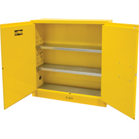 Flammable Storage Cabinet, 24 gal., 2 Door, 43" W x 44" H x 12" D The Estey Group