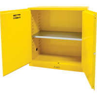 Armoire pour produits inflammables, 30 gal., 2 Porte(s), 43" La x 44" h x 18" p The Estey Group