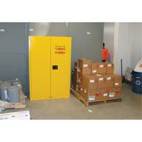 Flammable Storage Cabinet, 45 gal., 2 Door, 43" W x 65" H x 18" D The Estey Group