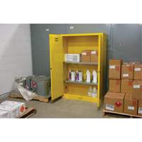 Flammable Storage Cabinet, 45 gal., 2 Door, 43" W x 65" H x 18" D The Estey Group