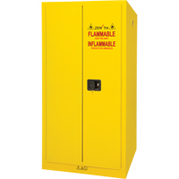 Flammable Storage Cabinet, 60 gal., 2 Door, 34" W x 65" H x 34" D The Estey Group