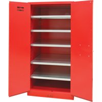 Paint/Ink Cabinet, 96 gal., 5 Shelves The Estey Group