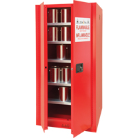 Paint/Ink Cabinet, 96 gal., 5 Shelves The Estey Group