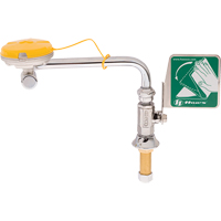 Axion&reg; Eye/Face Wash Station, Sink Mount Installation The Estey Group