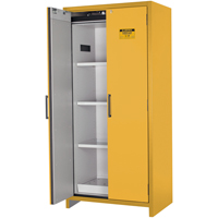 Armoire d'entreposage 90 minutes s&eacute;curitaire et conforme &agrave; la norme EN, 30 gal., 2 Porte(s), 35,16" La x 76,89" h x 24,21" p The Estey Group