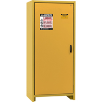 Armoire d'entreposage 30 minutes s&eacute;curitaire et conforme &agrave; la norme EN, 30 gal., 1 Porte(s), 34,02" La x 76,65" h x 24,21" p The Estey Group