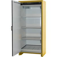 Armoire d'entreposage 30 minutes s&eacute;curitaire et conforme &agrave; la norme EN, 30 gal., 1 Porte(s), 34,02" La x 76,65" h x 24,21" p The Estey Group