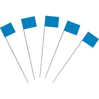Marking Flags The Estey Group