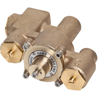 Vannes de m&eacute;lange thermostatique, 12 gal./min The Estey Group