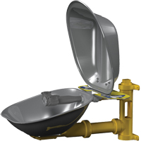 Halo Eyewash Stations, Wall-Mount Installation, Stainless Steel Bowl The Estey Group